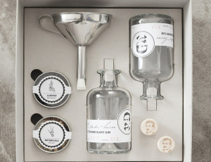 GIN KIT by Dr. Charles Levine