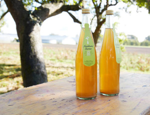 Das Geld hängt an den Bäumen