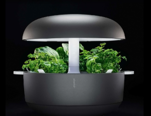 Plantui Smart Garden